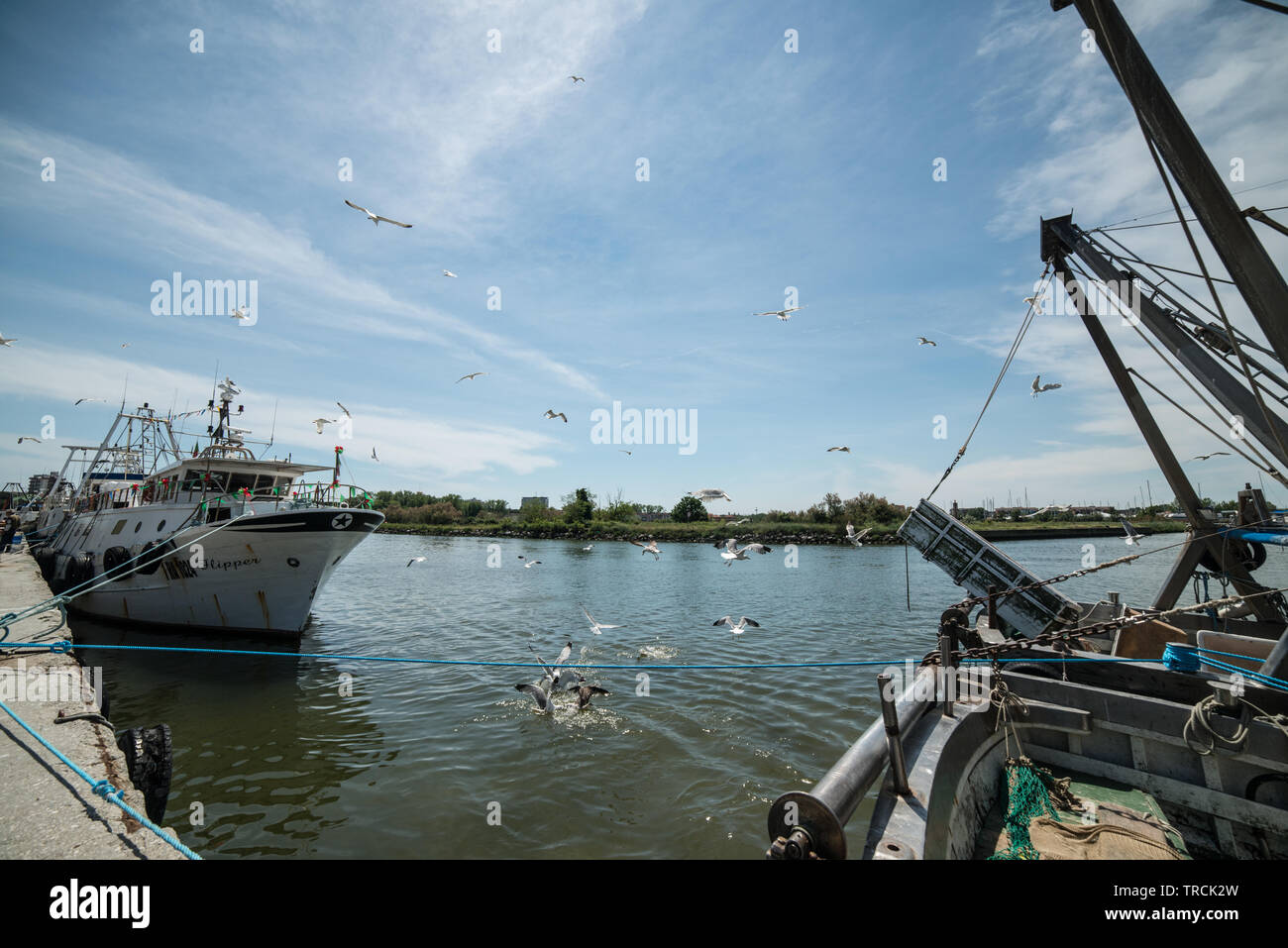 Fischereihafen in Delta del Po, Comacchio, Italien, Juni 2019 Stockfoto