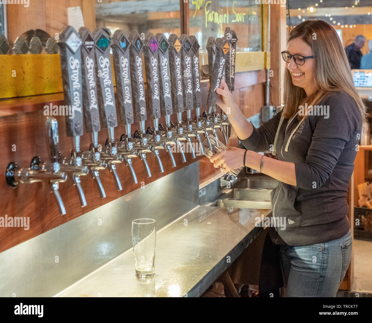 Junge Frau tendenziell Bar am Stein Kuh Brauerei in Barre, MA Stockfoto