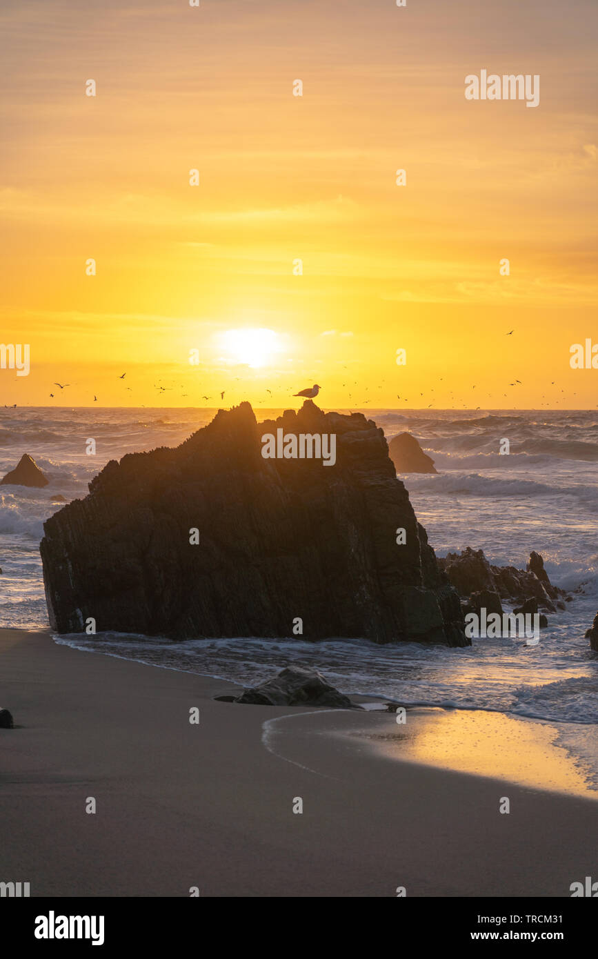 Schönen Sonnenuntergang an der Küste von Big Sur, Kalifornien. Stockfoto