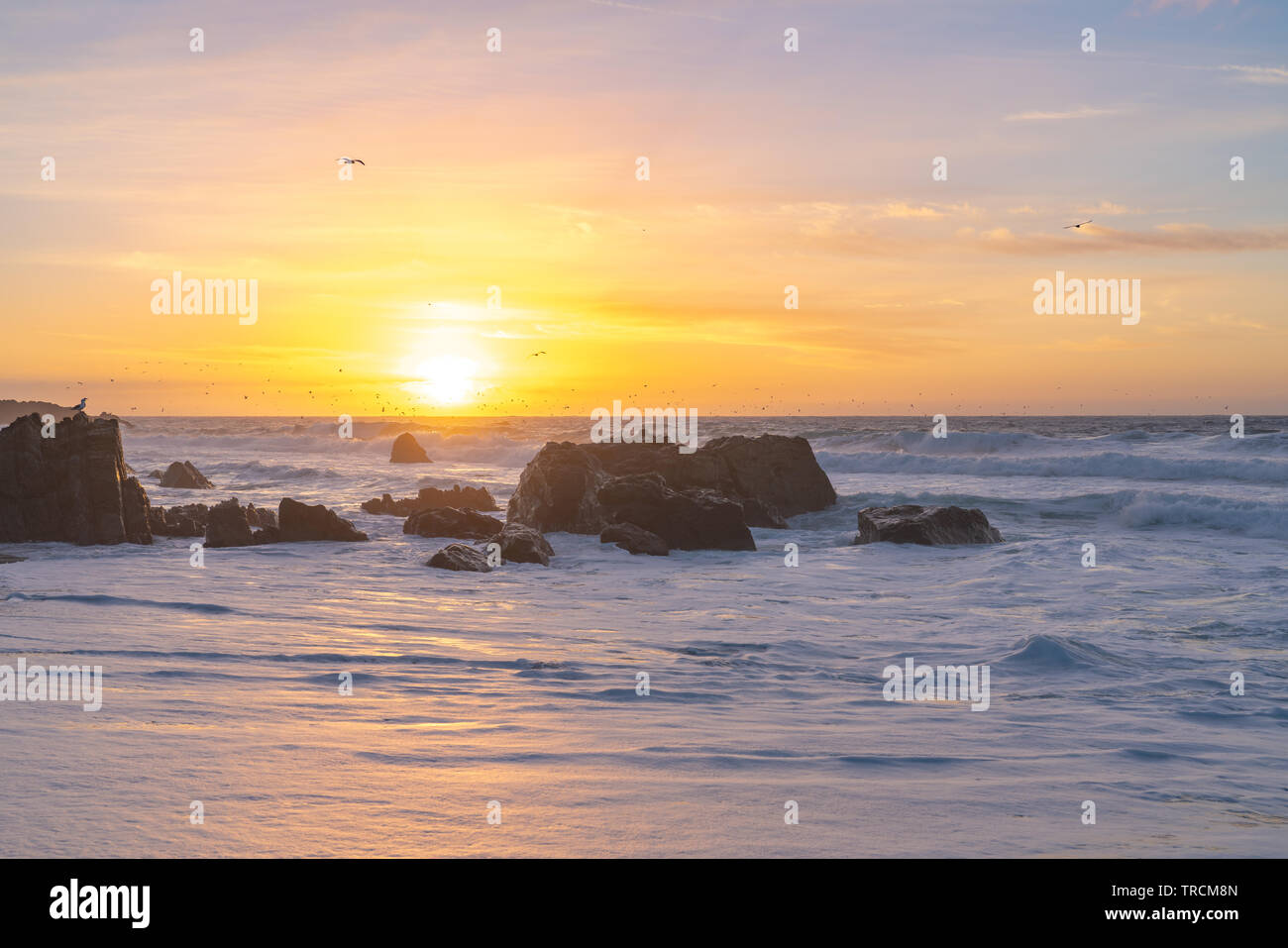 Sonnenuntergang an einem Sandstrand Big Sur, Kalifornien Strand mit großen Wellen wie Vögel fliegen Overhead. Stockfoto