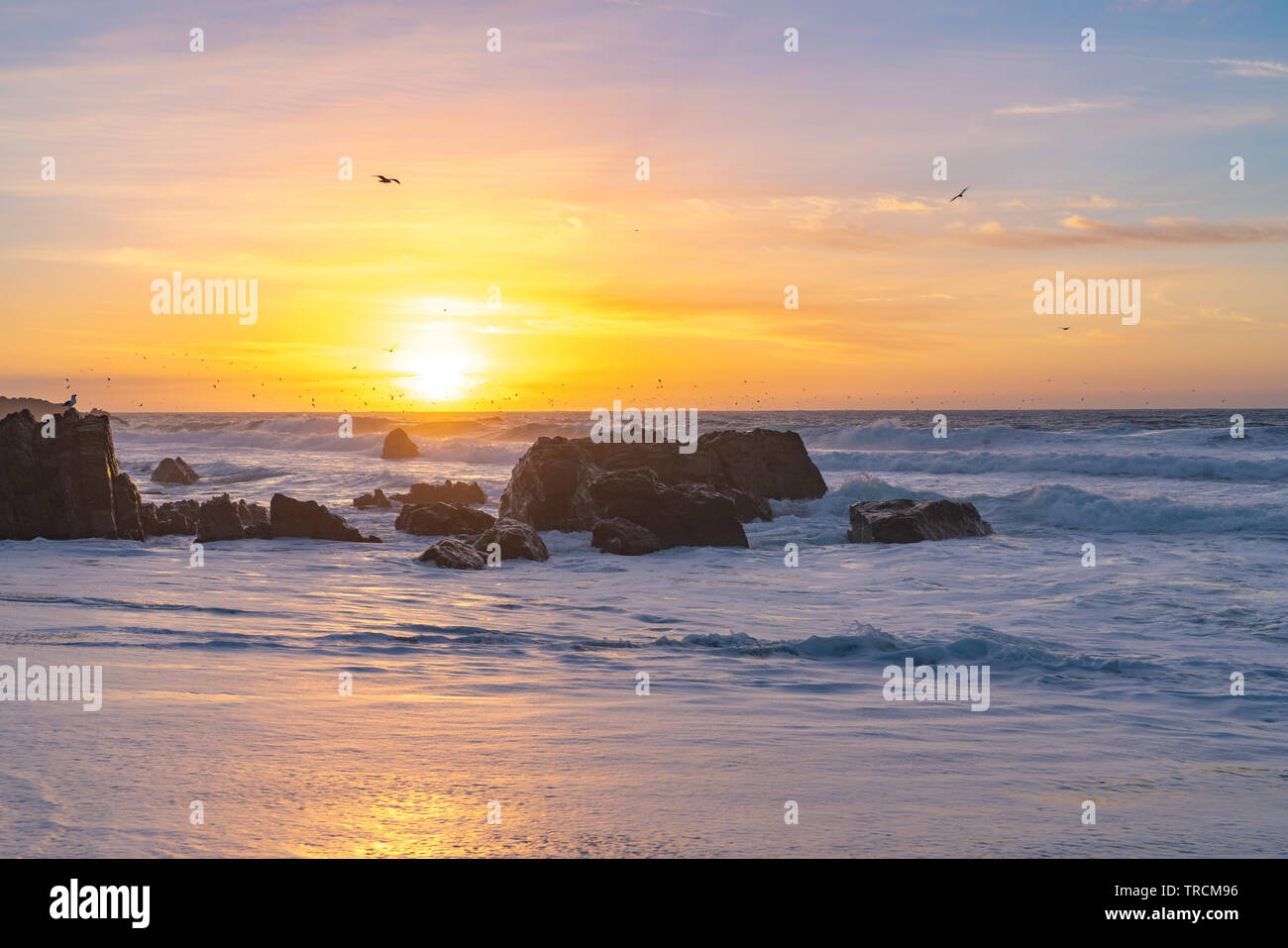 Sonnenuntergang an einem Sandstrand Big Sur, Kalifornien Strand mit großen Wellen wie Vögel fliegen Overhead. Stockfoto