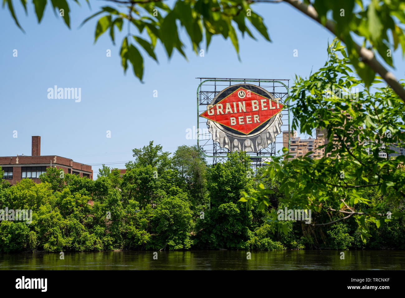Minneapolis, Minnesota - Juni 2, 2019: Iconic Korn Gürtel Bier Schild in der Innenstadt von Minneapolis, am Ufer des Mississippi, umrahmt von FOILAGE Stockfoto