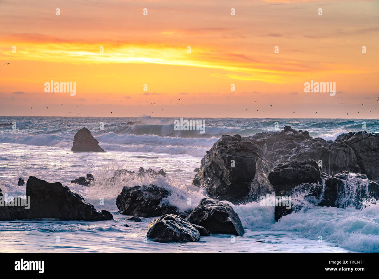 Big Sur, Kalifornien - schönen Sonnenuntergang am California Beach mit großen Wellen, die über Felsen und eine Schar Vögel in der Ferne fliegen. Stockfoto