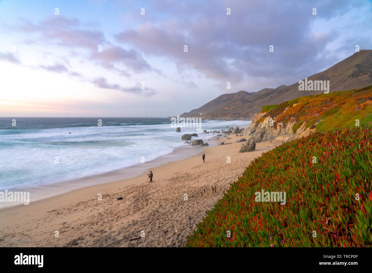 Sonnenuntergang am Strand von Calla lily Valley entlang der Autobahn in Big Sur, Kalifornien. Stockfoto