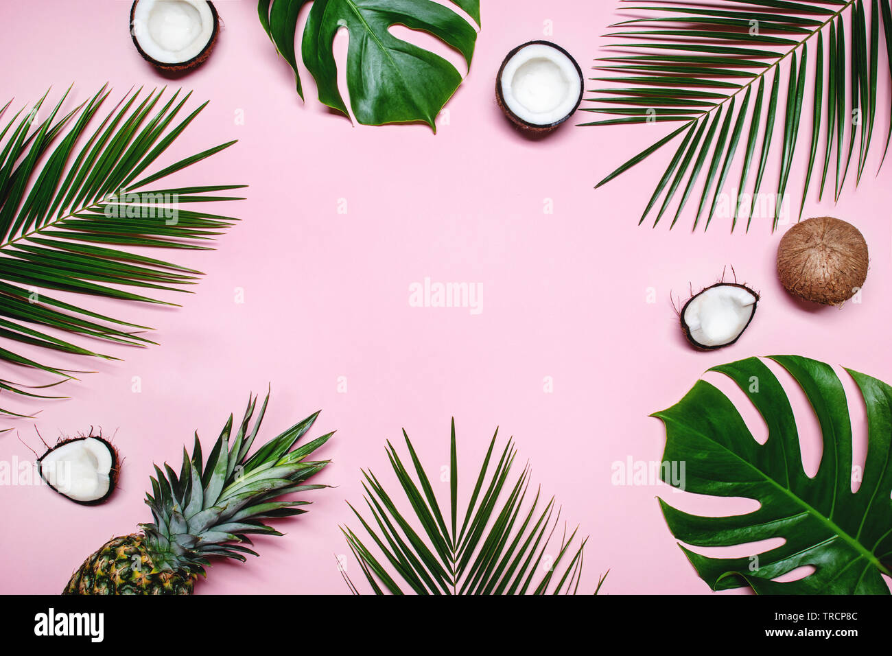 Ananas, reife Kokosnüsse, tropischen Palmen und Grün monstera Blätter auf rosa Hintergrund mit Platz für Text. Kreative Gestaltung. Sommer Konzept. Flach, t Stockfoto