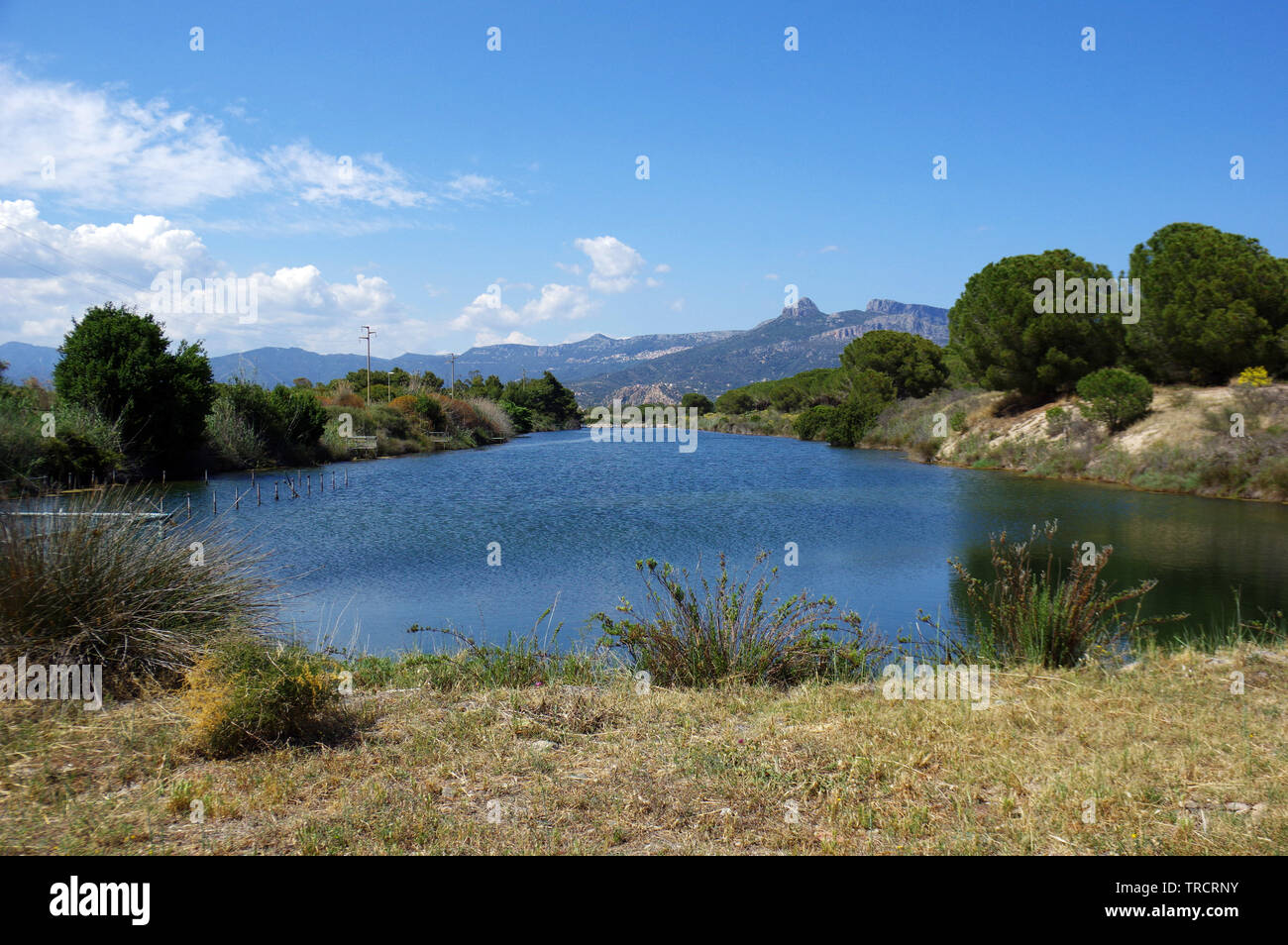 Arbatax, Sardinien, Italien. Die Fische - Teich und Weichtiere Zucht Stockfoto