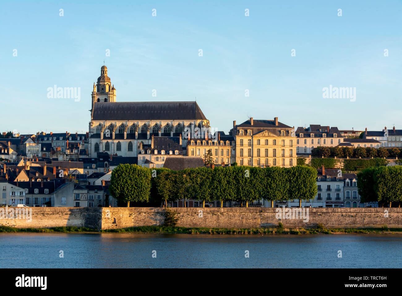 Stadt von Blois und der Kathedrale Saint-Louis auf der Loire, Blois, Loir-et-Cher Abteilung, Center-Val de Loire, Frankreich, Europa Stockfoto