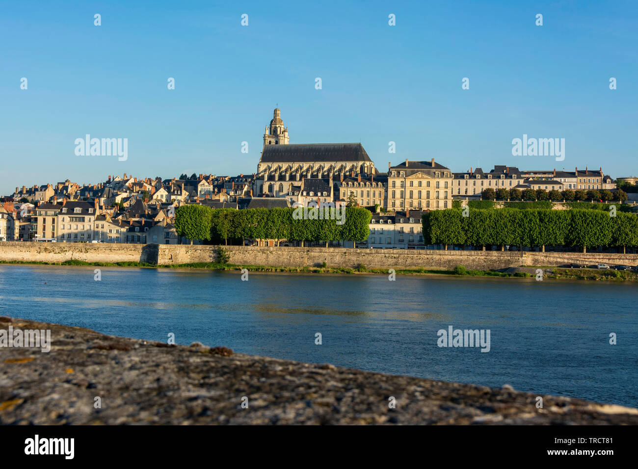 Stadt von Blois und der Kathedrale Saint-Louis auf der Loire, Blois, Loir-et-Cher Abteilung, Center-Val de Loire, Frankreich, Europa Stockfoto