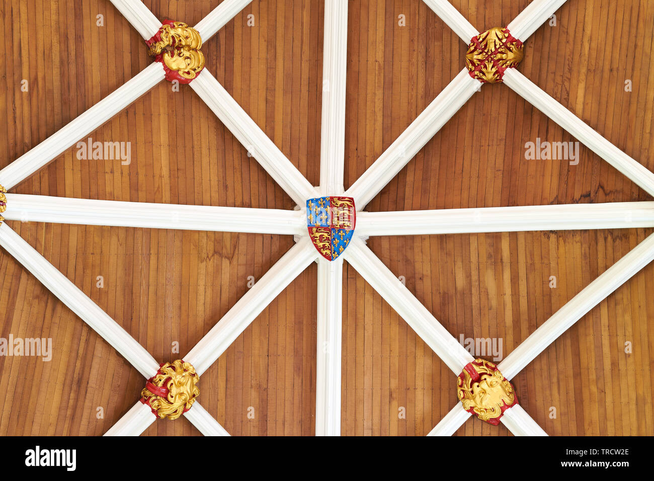 Bunte, lackiert Chefs an der Kreuzung der Dach Rippen auf die Holzdecke des York Minster Kathedrale, England. Stockfoto