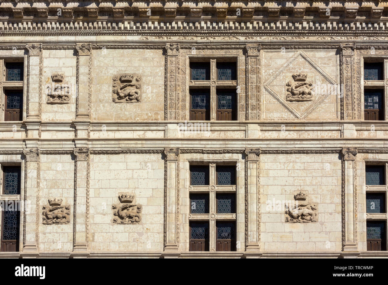 Salamander auf der Fassade des Francois I er Flügel des Schloss Blois, Blois, Loir-et-Cher Abteilung, Center-Val de Loire, Frankreich, Europa Stockfoto