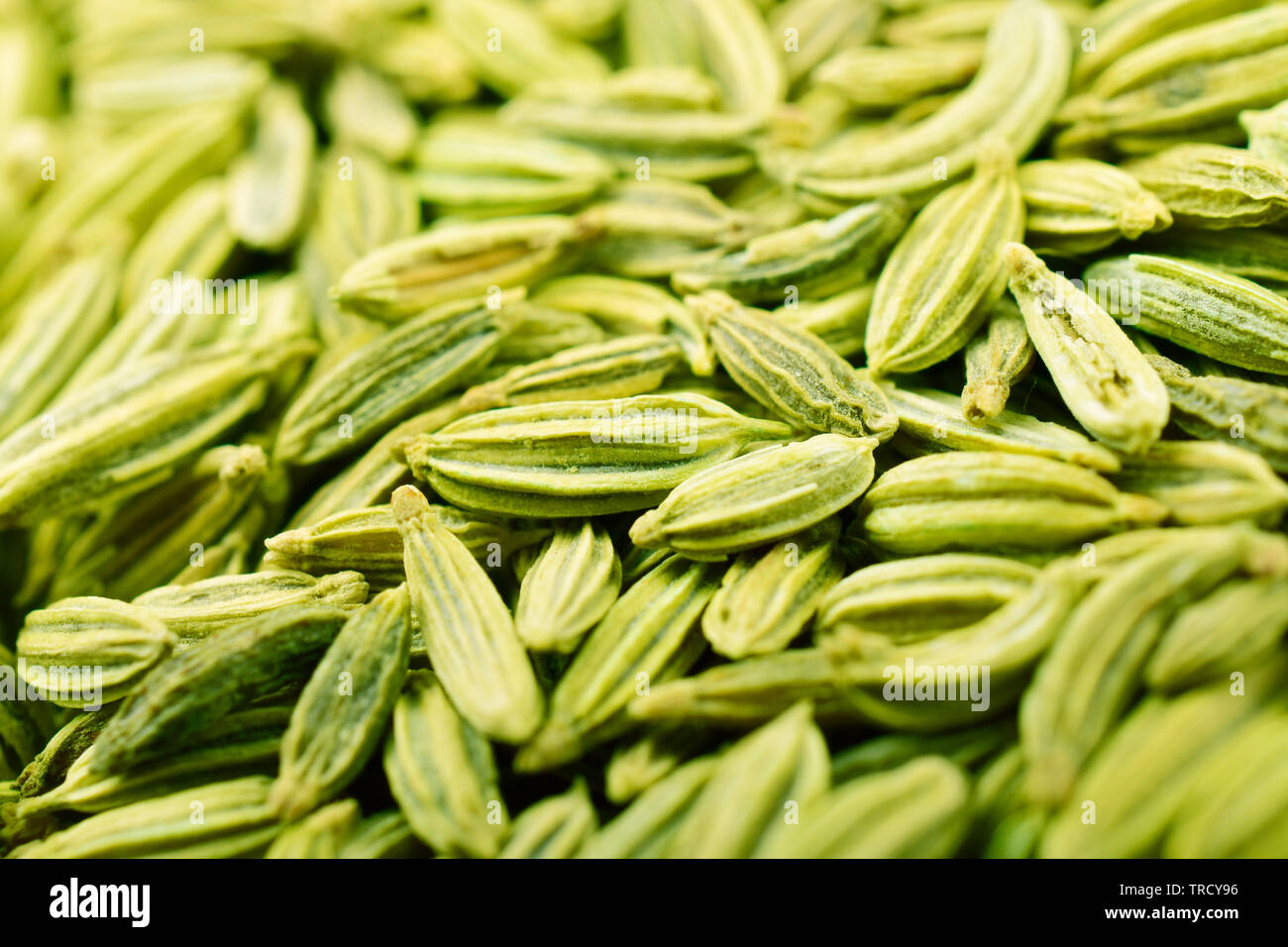 In der Nähe Bild von Gesund Fenchel Samen oder Saunf traditionelles indisches Essen und Verdauung Mund Lufterfrischer Stockfoto