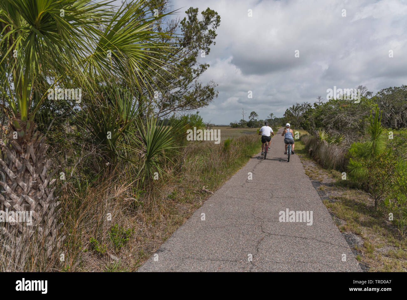 Fahrrad reiten auf Jekyll Island Radwege Brunswick, Georgia USA Stockfoto