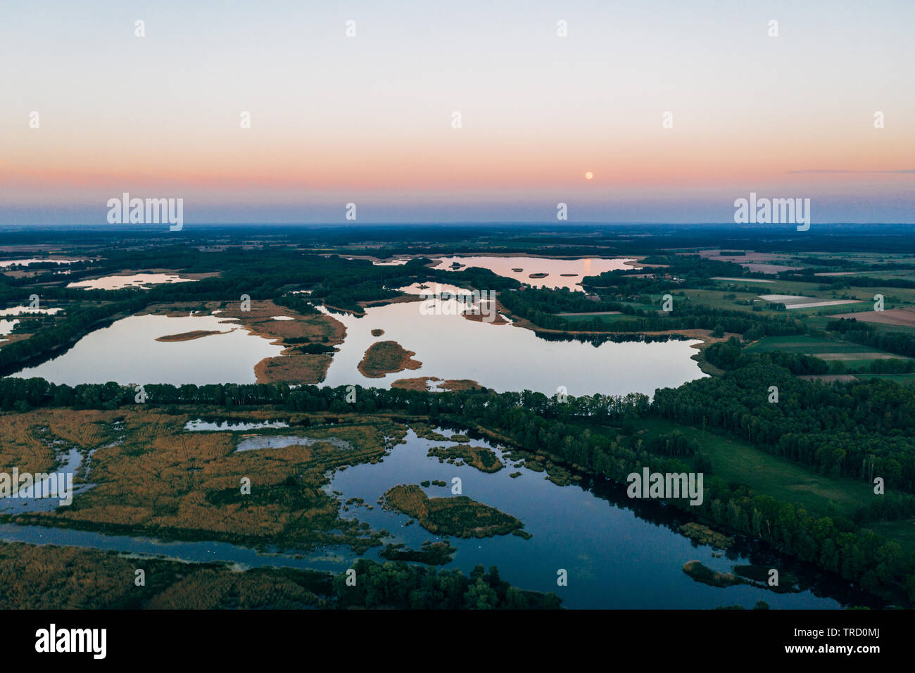 Luftaufnahme der Seen/Teiche in das natürliche Reservoir der Bird's im südlichen Polen. Milicz, Barycz Tal Landschaftspark. Stockfoto
