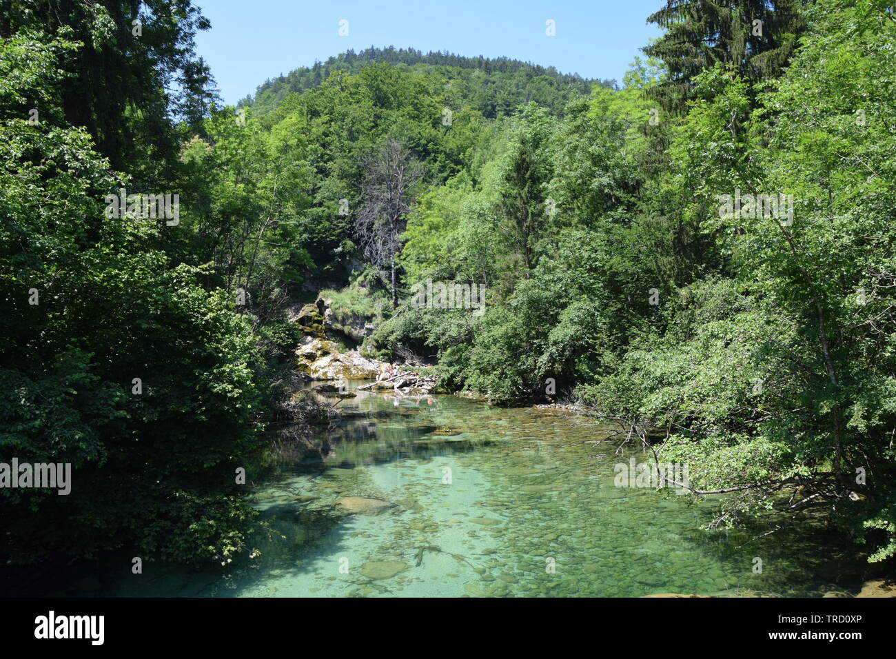 Schlucht Vintgar in der Nähe von Lake Bled, Slowenien Stockfoto
