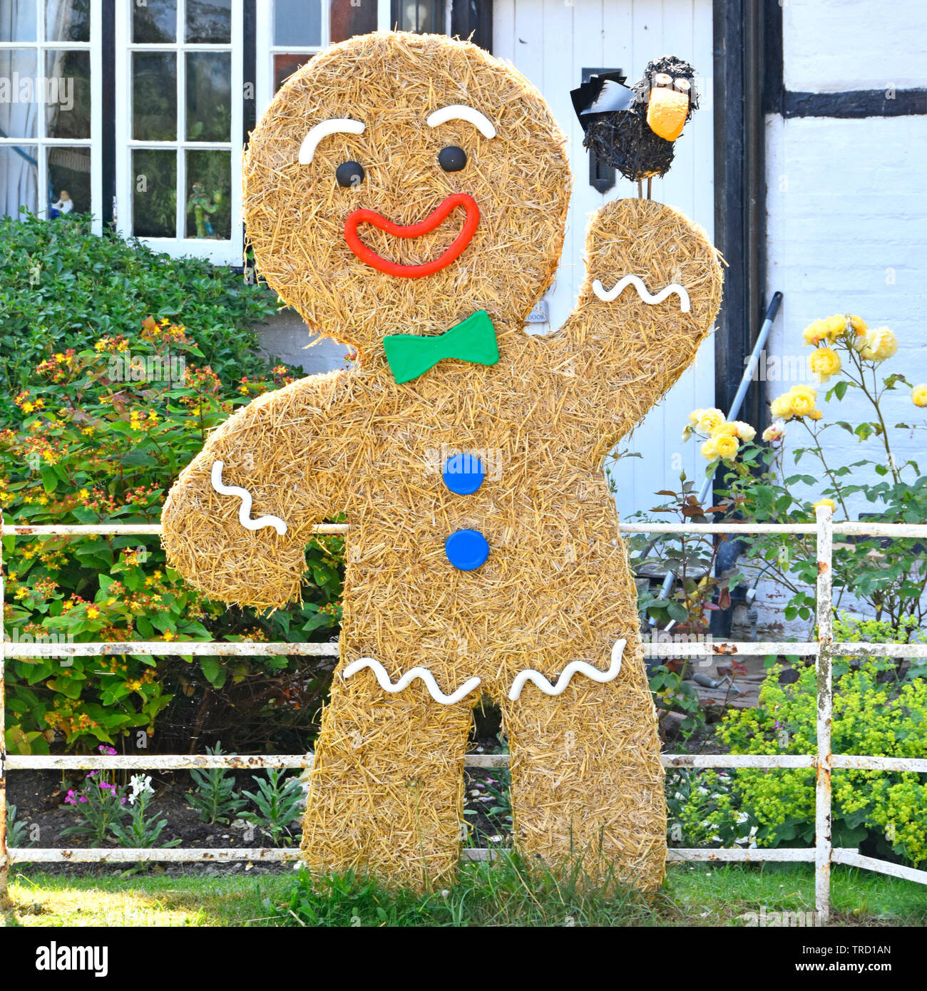 Lifesize Stroh Gingerbread Man vor home Garten angezeigt am Osten Hagbourne & im SHOW als Teil von Dorf Vogelscheuche trail Oxfordshire England Großbritannien Stockfoto