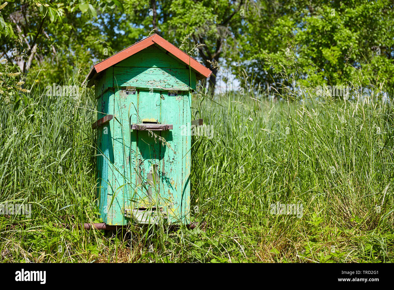 Alte hölzerne Bienenstock in einem ländlichen Garten. Stockfoto