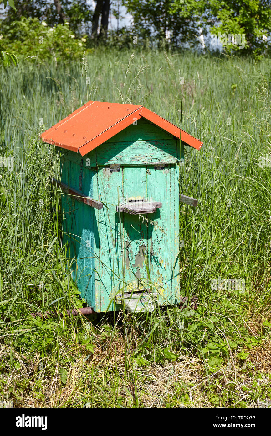 Alte hölzerne Bienenstock in einem ländlichen Garten. Stockfoto