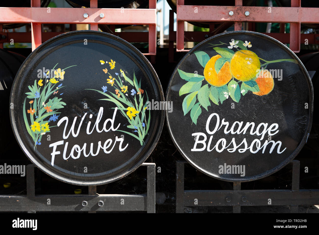 Showcase von Zitrusfrüchten, Florida Stockfoto