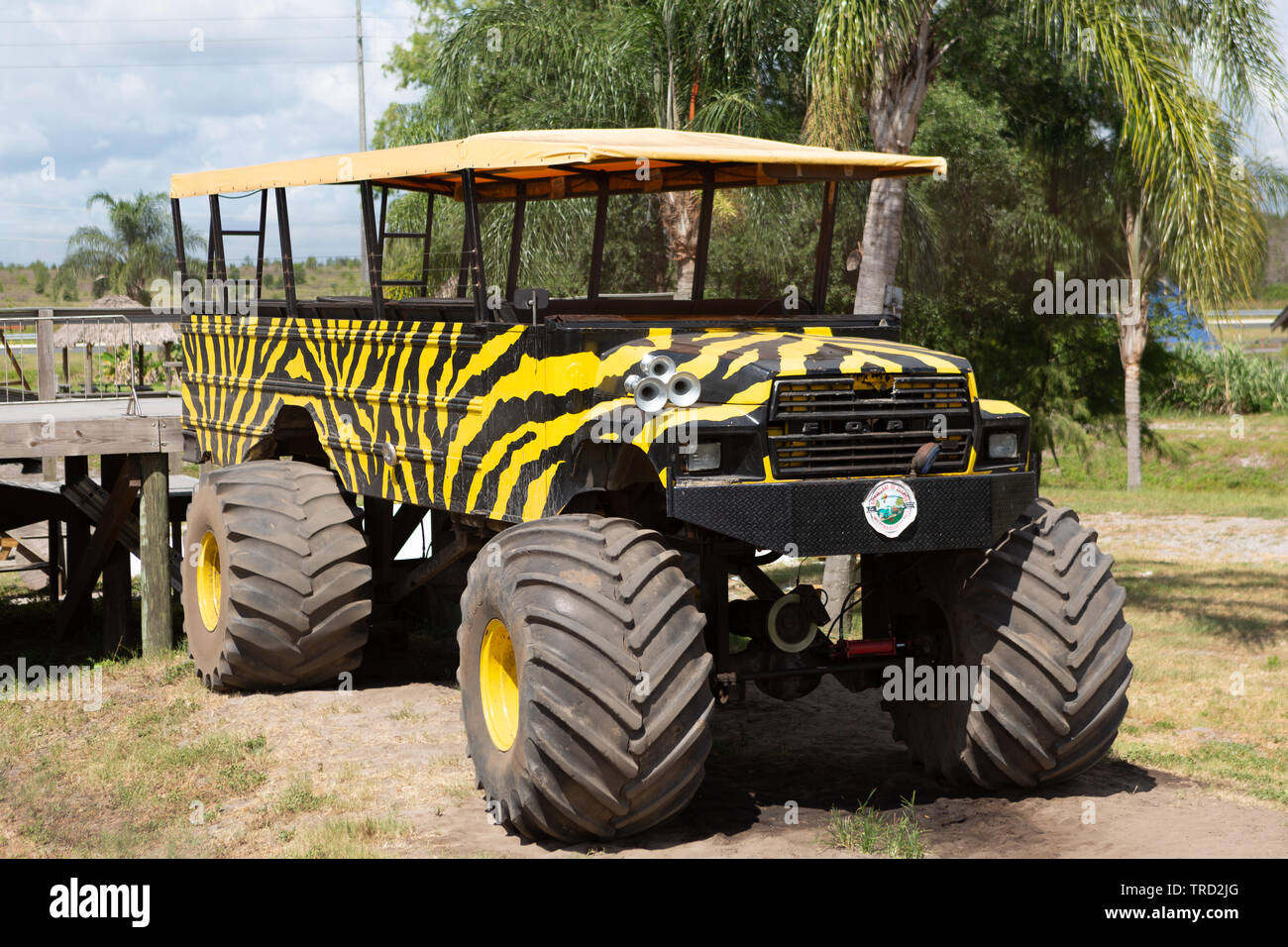 Showcase von Zitrusfrüchten, Florida Stockfoto