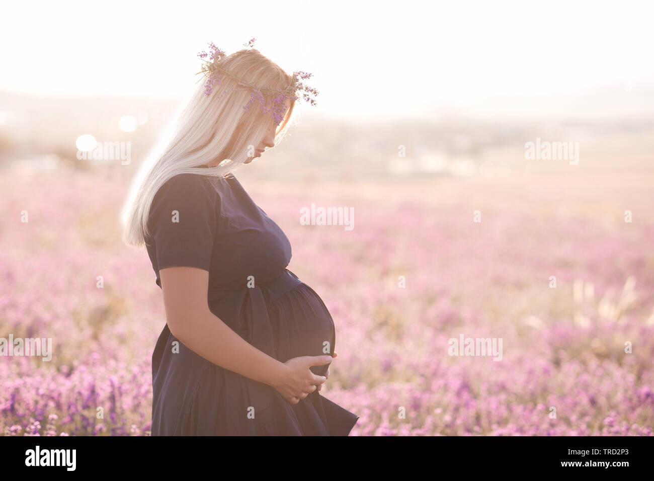 Schwangere blonde Frau mit dunklen blauen Kleid in lila Feld. Sommer. 20. Stockfoto