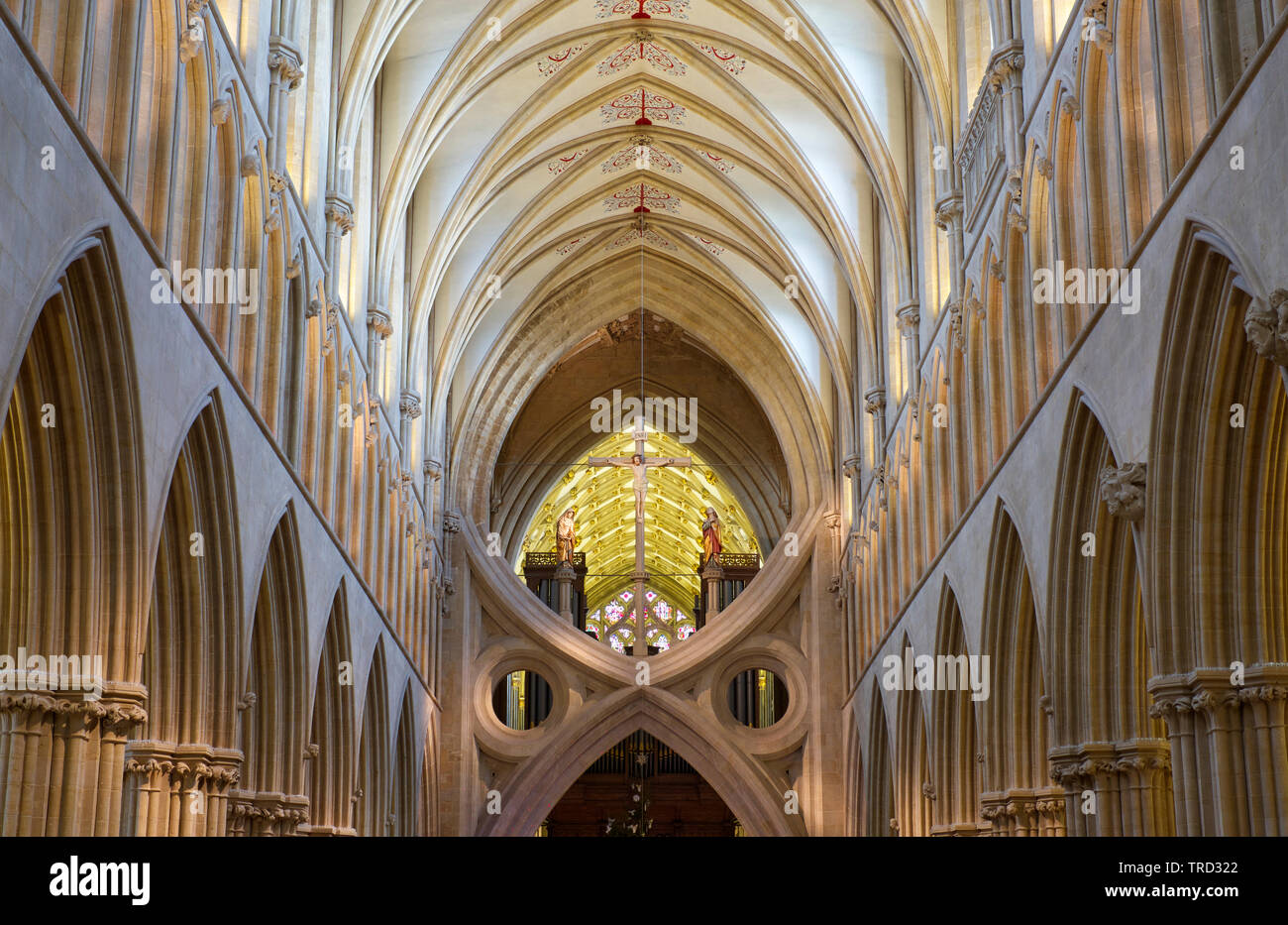 Detailansicht der Wells Cathedral Kirchenschiff. Stockfoto