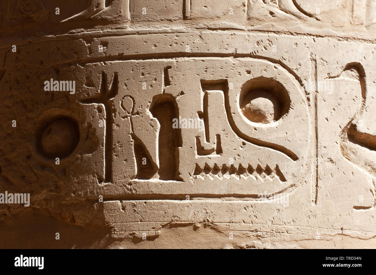 Kartusche der den Thronnamen Ramses der Große (Ramses II) auf eine Spalte in der Karnak Tempel, Luxor, Ägypten Stockfoto