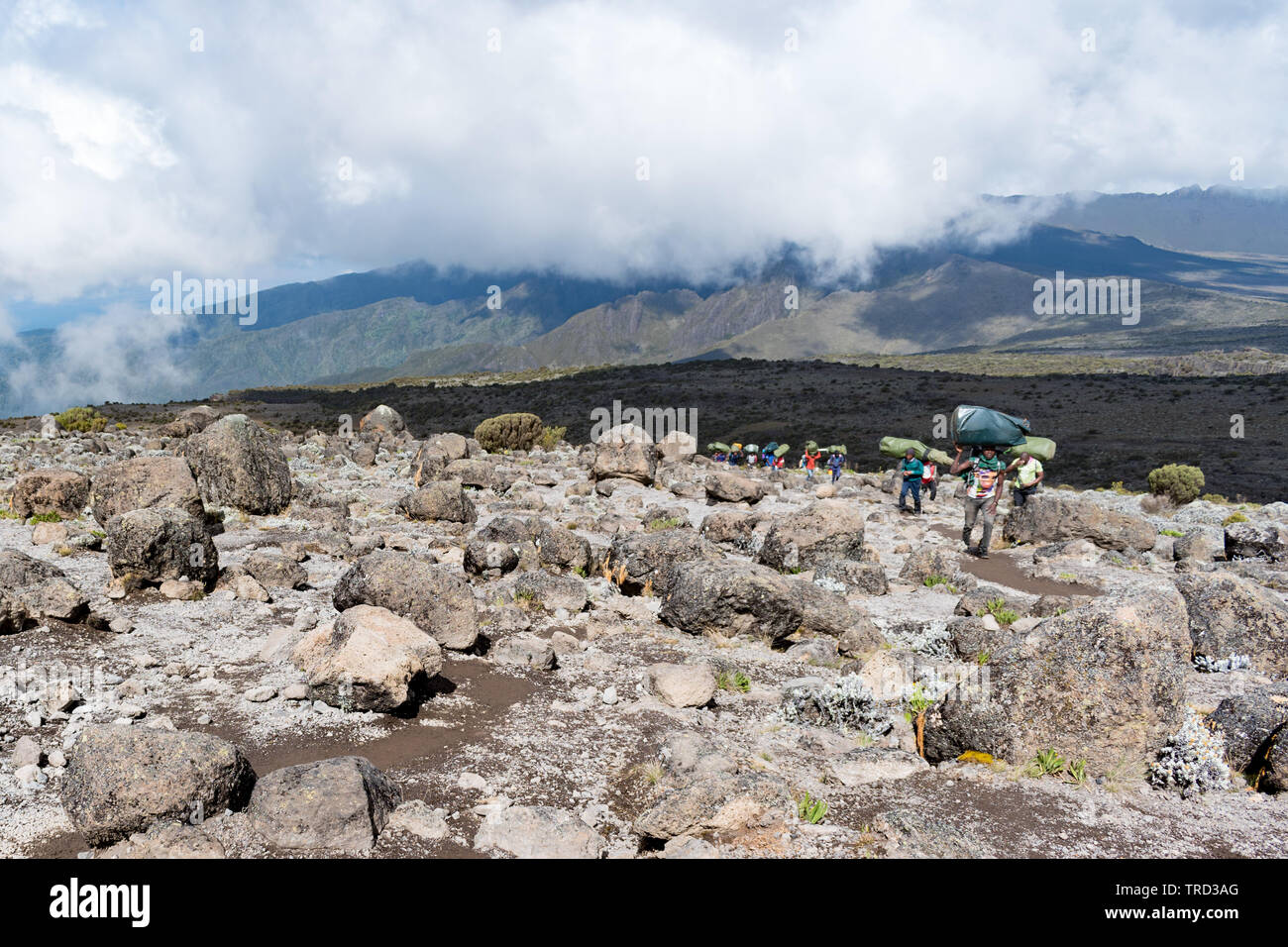 Kilimanjaro, Tansania - 19. Februar 2019: Afrikanische mann Torhüter bis Wandern mit Lasten bis zu 30 kg auf dem Kopf und Rücken in der heißen Sonne. Stockfoto