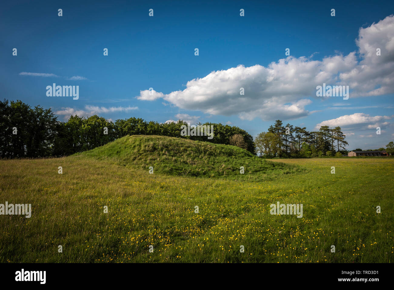 Lange Steine Long Barrow in der Nähe von Avebury, Wiltshire, Großbritannien Stockfoto