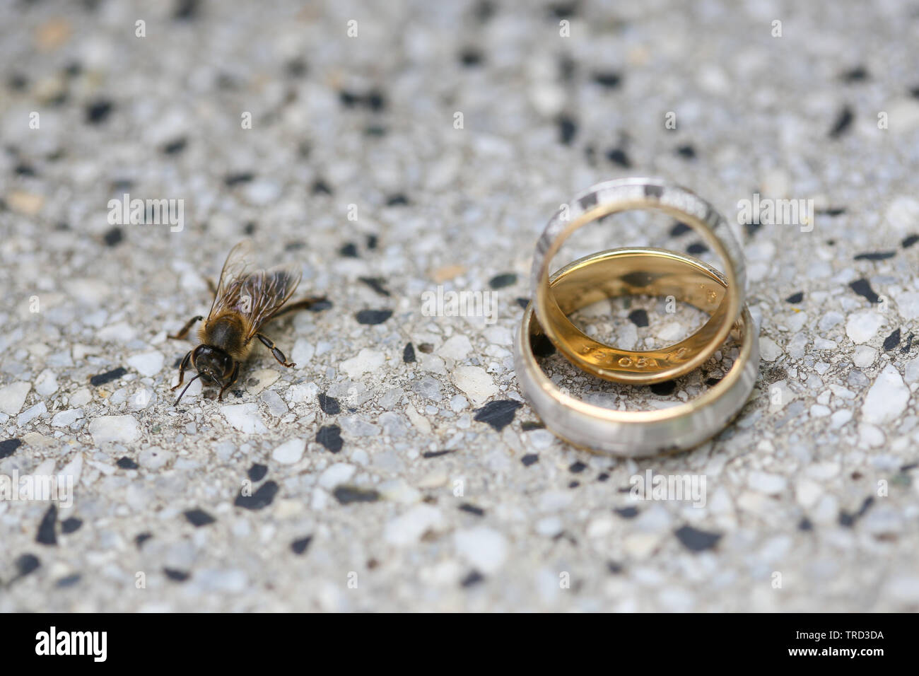 Goldene Hochzeit Ringe auf einem Stein Oberfläche. Stockfoto