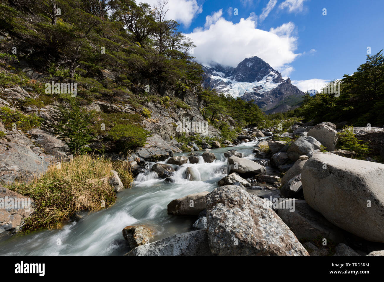 Fluss, der durch das Valle Frances in Torres del Paine, Patagonien, Chile Stockfoto