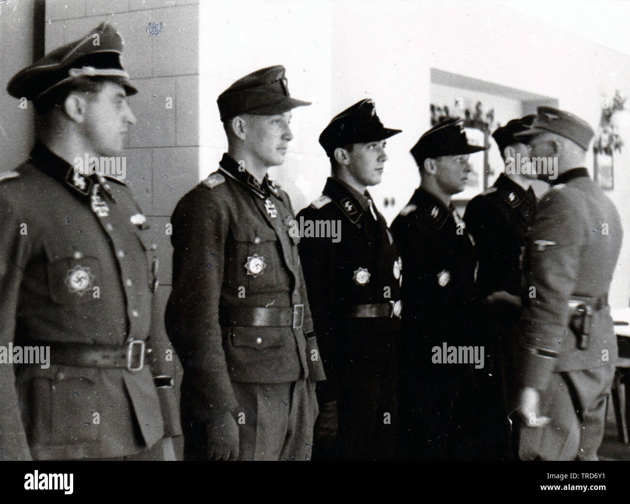 Männer der Waffen-SS Panzer Division Wiking erhalten Auszeichnungen an der Ostfront 1944 Stockfoto