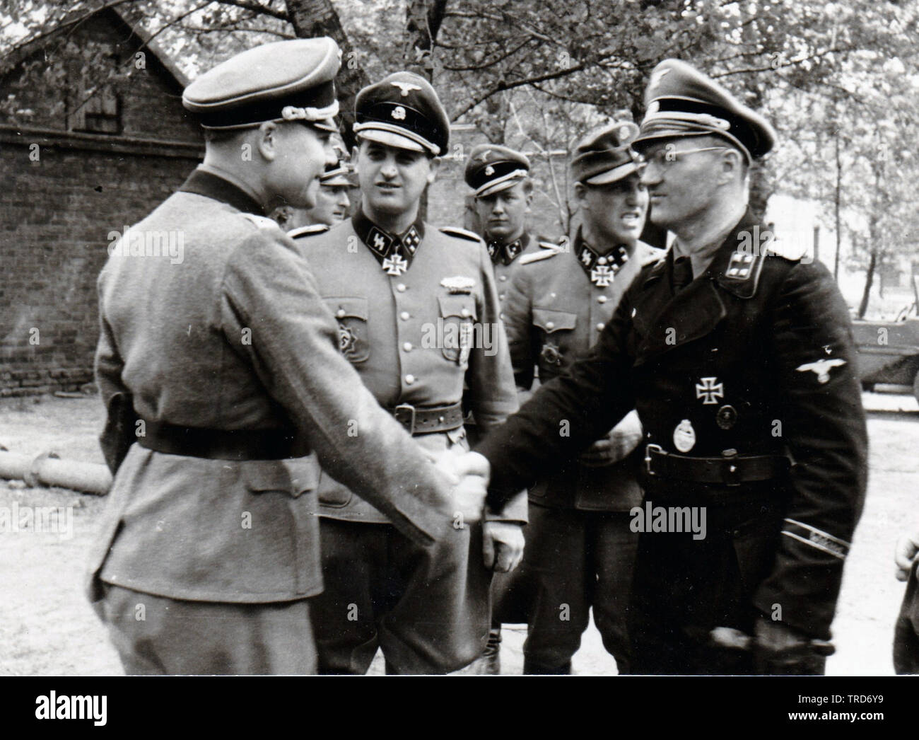 5. SS Panzer Division Officer Paul Kummel ist zu seiner Ernennung zum Kommandeur einer Germania Regiment von gepanzerten rReconaissance Einheit Ostfront 1944 gratulierte Stockfoto