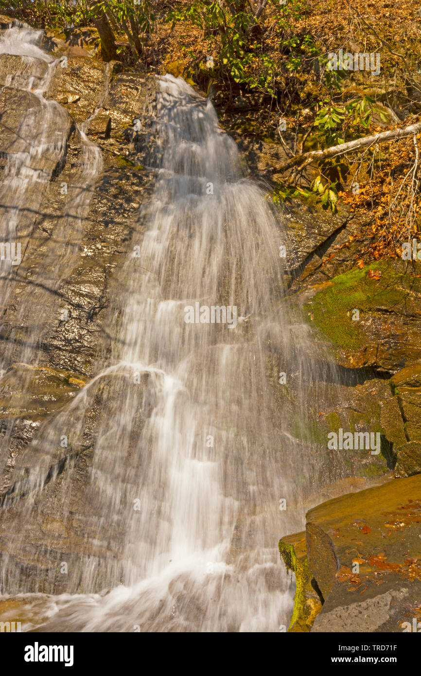Juney Whank fällt in die Great Smoky Mountains Stockfoto