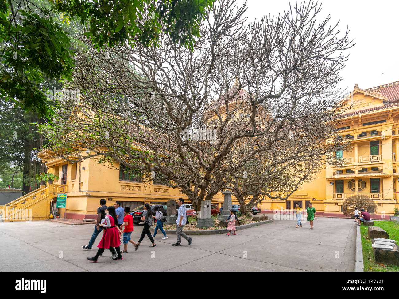 Architektur der Vietnam National History Museum. Es ist Gebäude zwischen 1926 von Architekt Ernest Hebrard und ist heute in Hanoi, Vietnam erhalten Stockfoto