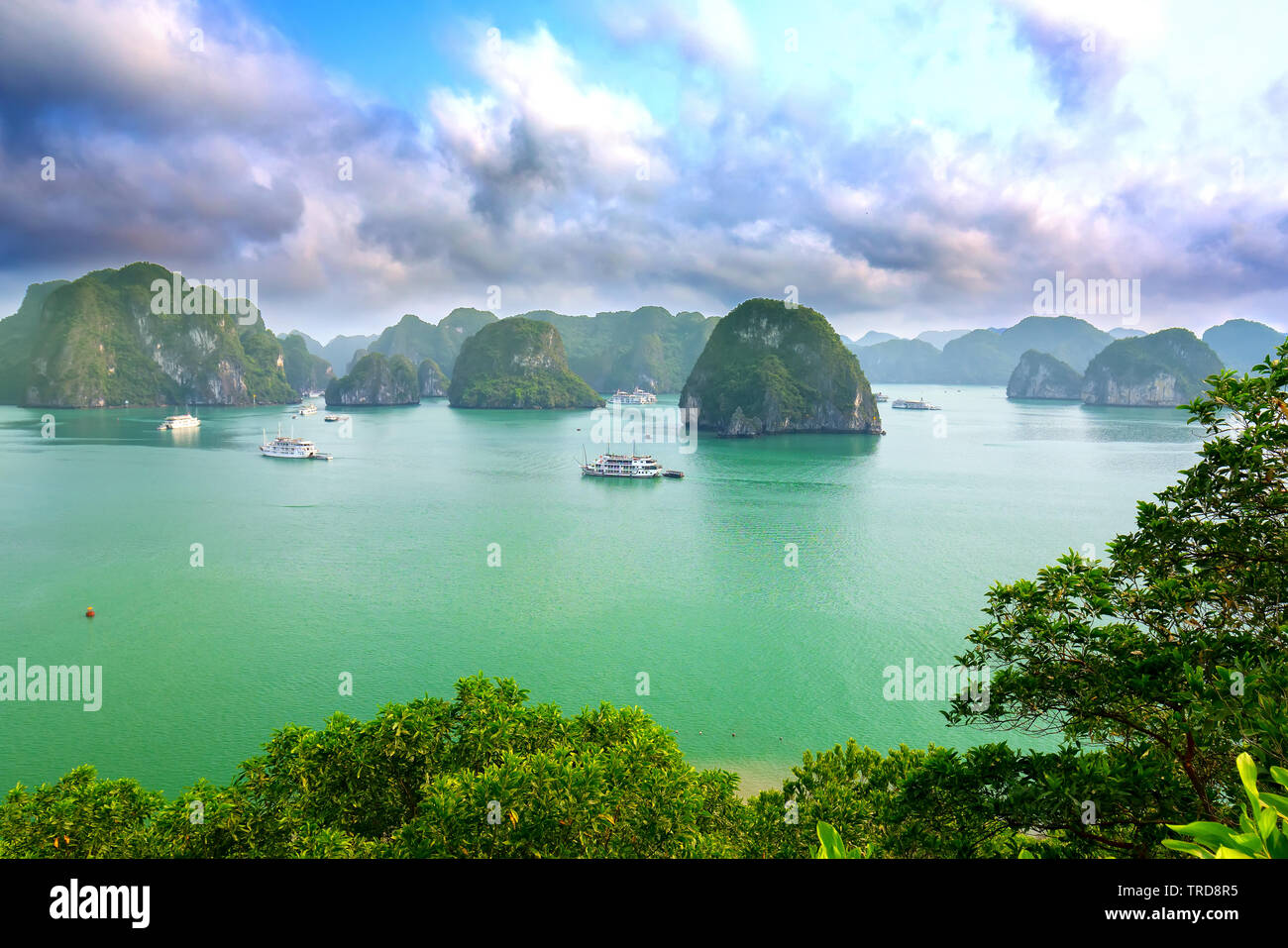 Die schöne Landschaft der Halong Bay View von adove der Ti Top Insel. Halong Bay ist das UNESCO-Weltkulturerbe, es ist eine schöne natürliche Wunder Stockfoto