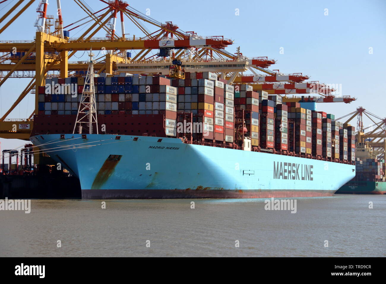 Das containerschiff Madrid Maersk wird geladen und entladen in Bremerhaven am 16. April 2019. Stockfoto