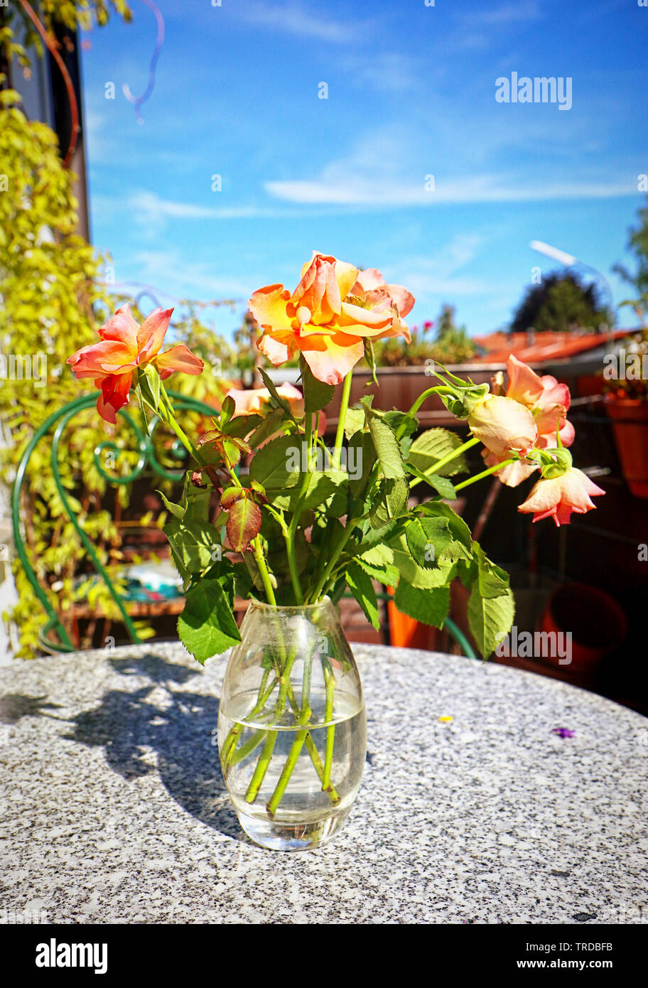 Orange Rosen in einer Glasvase auf einem Marmortisch der Balkon Stockfoto