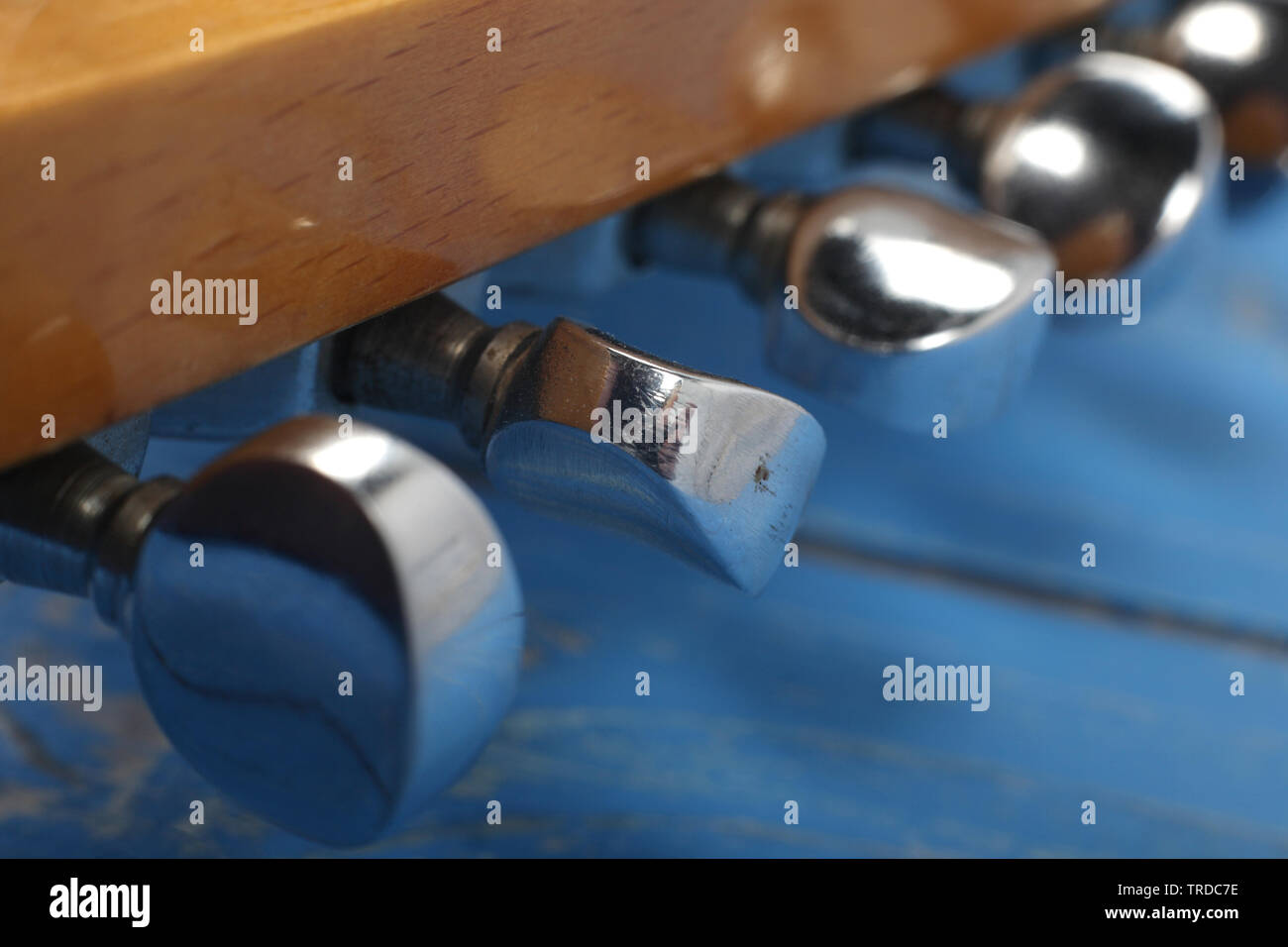 Musikinstrument - Fragment headstock peghead Hals tuning peg E-Gitarre auf einem blauen Holz Hintergrund. Stockfoto