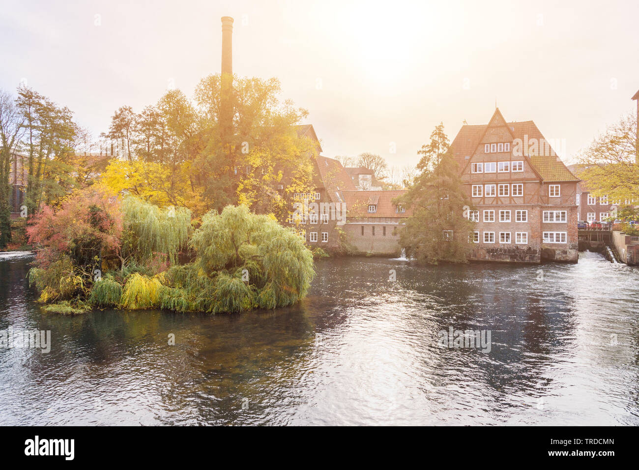 Ratsmuhle oder alte Wassermühle am Fluss Ilmenau am Morgen in Lüneburg. Deutschland Stockfoto