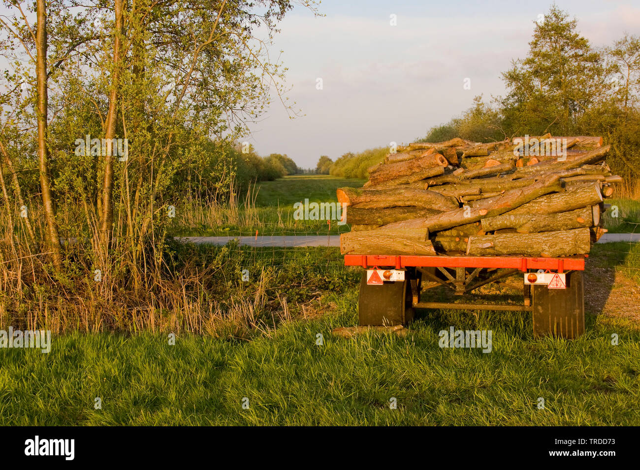 Anhänger mit Holz in einer Wiese, Niederlande, Overijssel, De Olde Maten, Staphorst Stockfoto