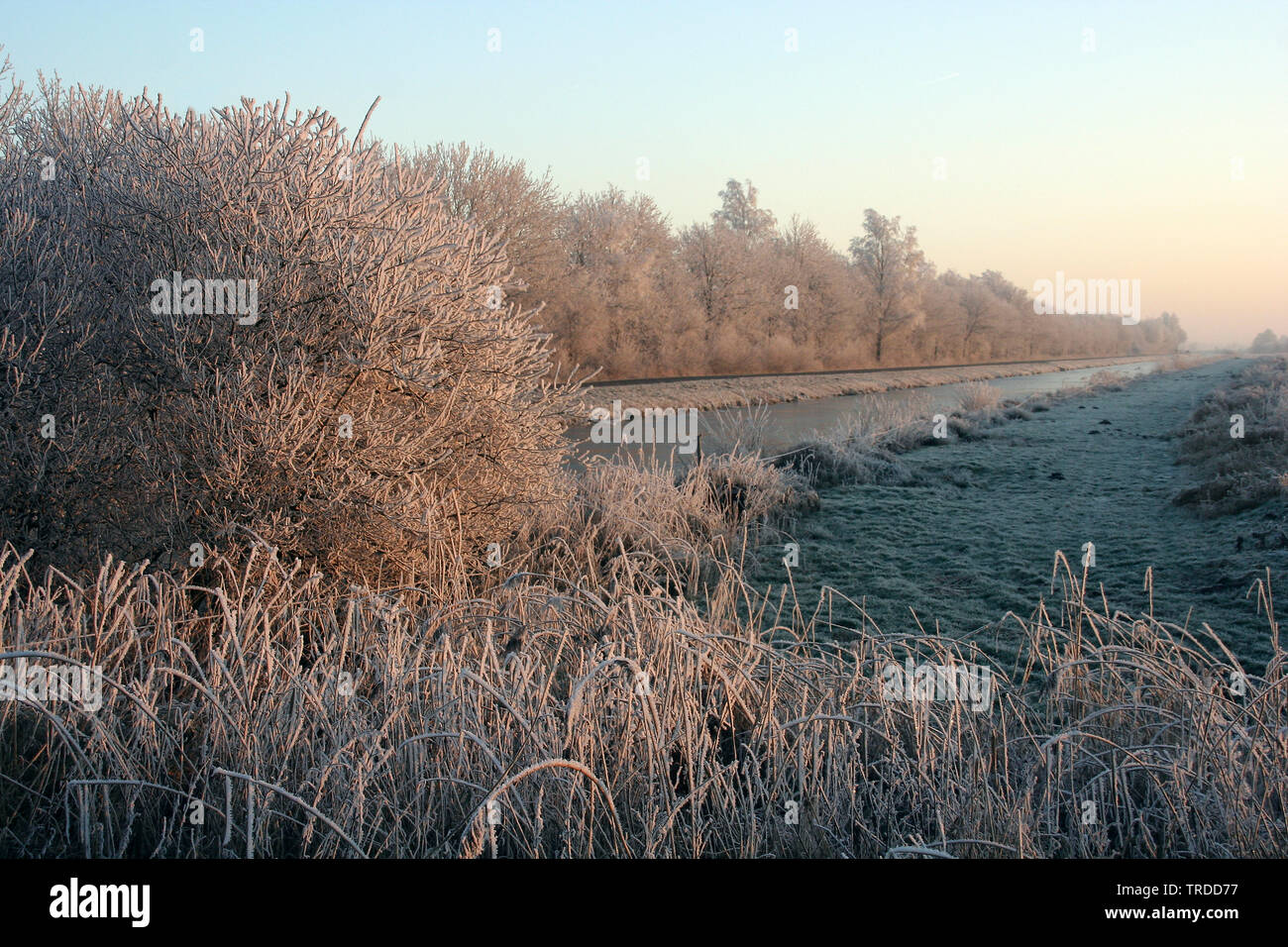 Kanal im Naturschutzgebiet Olde Maten im Winter, Niederlande, Overijssel Stockfoto