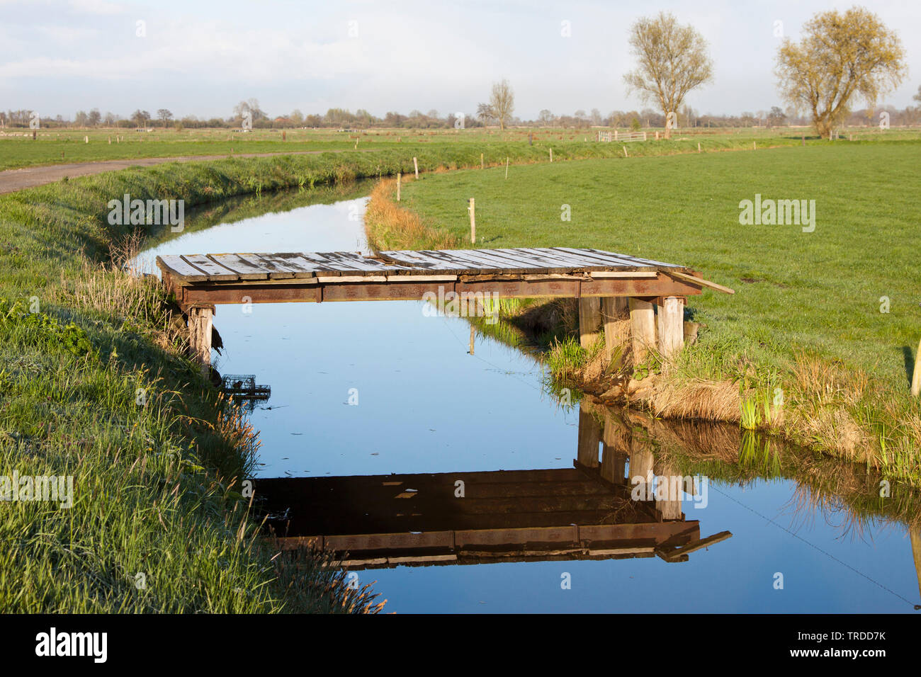 Graben mit Brücke in medow Länder, Niederlande, Overijssel, De Olde Maten Stockfoto