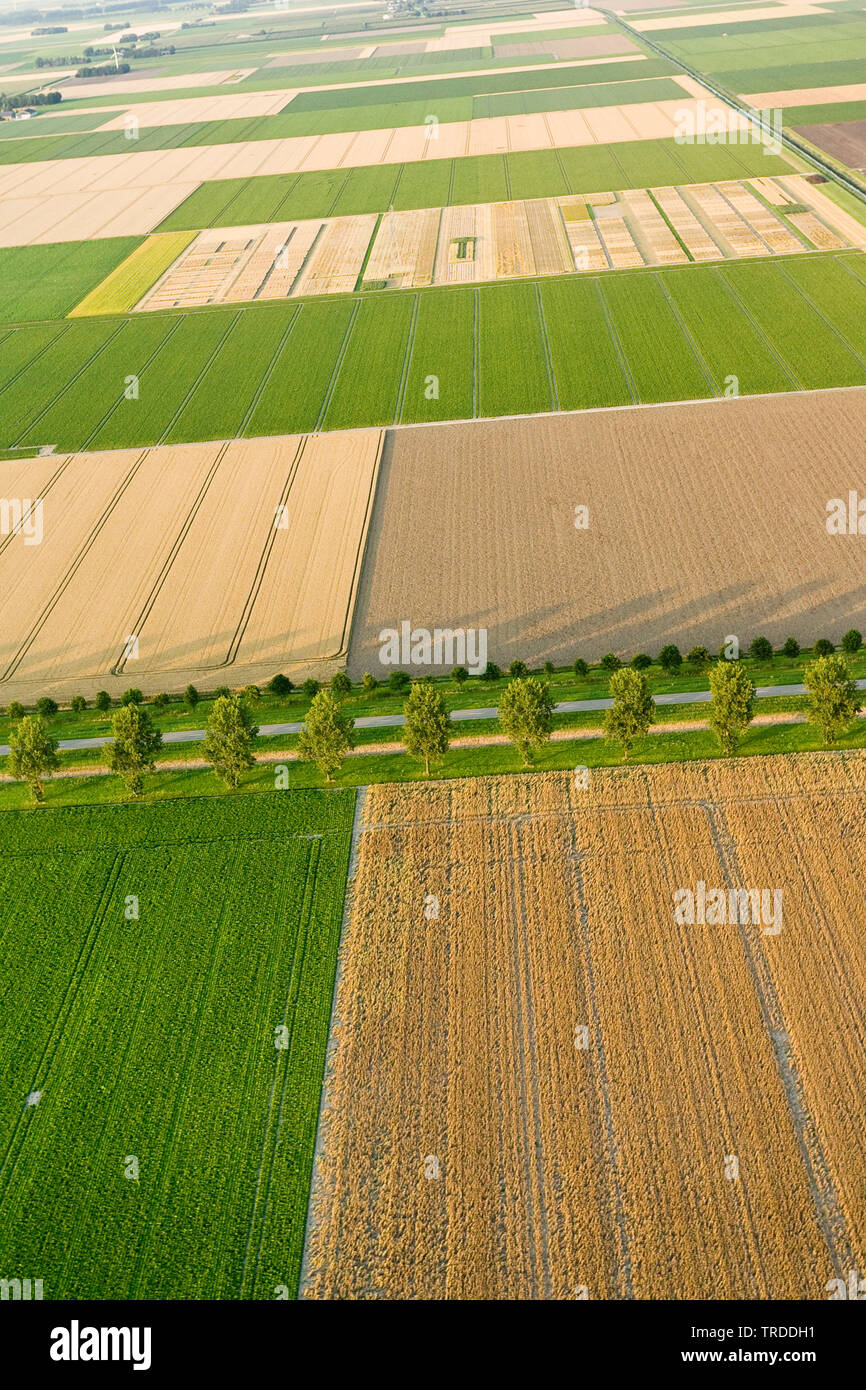 Feld Landschaft im Norden von Holland, Luftbild, Niederlande, Holland Nord Stockfoto