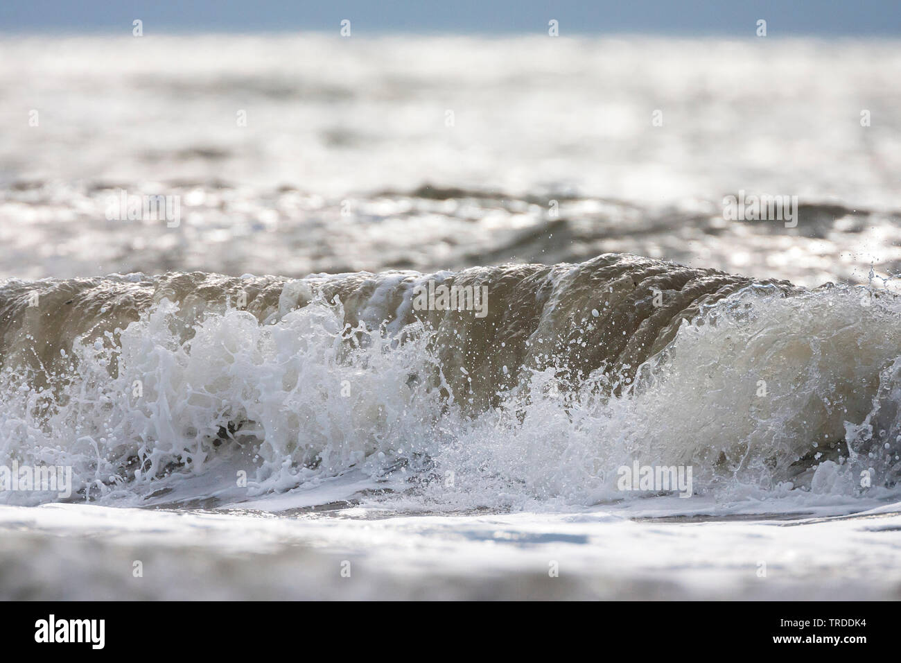 Wellen in Nahaufnahme, Niederlande, Südholland Stockfoto