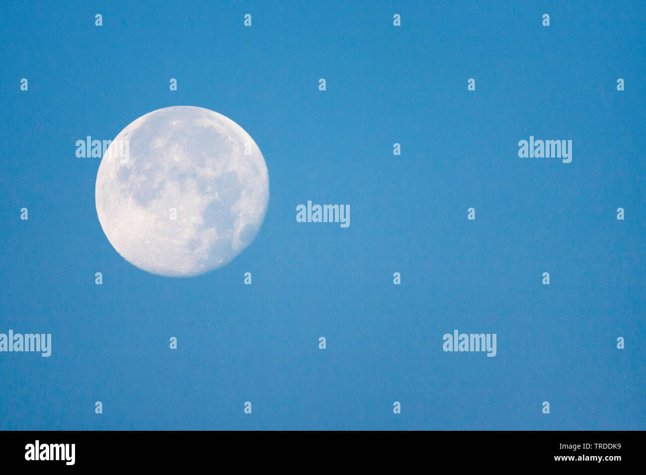 Mond in klaren bly Himmel bei Tageslicht, Niederlande, Südholland, Katwijk aan Zee Stockfoto