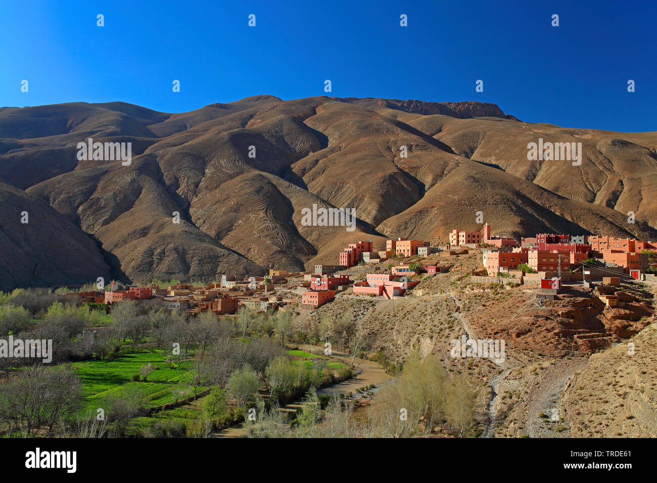 Beber Dorf in der Dades Schluchten, Marokko Dades Tal, Imdiazene Stockfoto