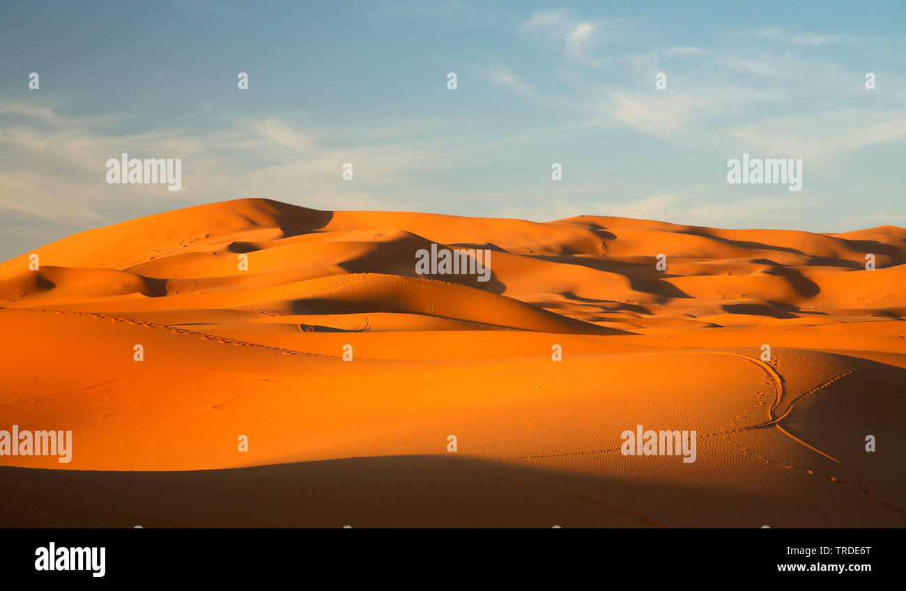Sanddünen in der Morgen, Marokko, Merzouga, Erg Chebbi Stockfoto