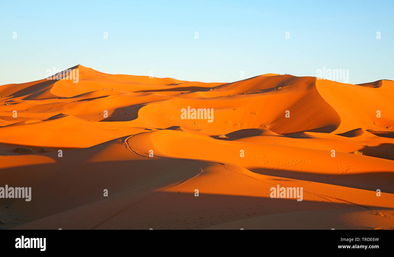 Sanddünen in der Abend, Marokko, Merzouga, Erg Chebbi Stockfoto