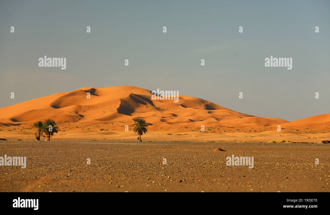 Blick von merzoug zu den Sanddünen des Erg Chebbi, Marokko, Fes Stockfoto