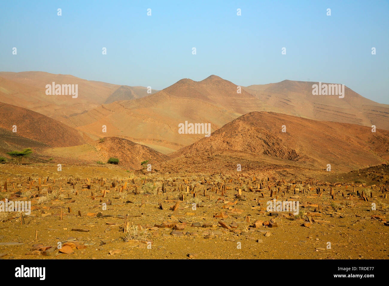 Friedhof in der Bergregion des Jbel Anaour, Marokko, Agdzt Stockfoto
